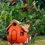 Krka Magic Pumpkin