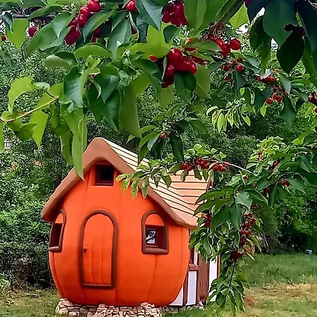 Krka Magic Pumpkin