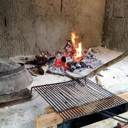 Krka Magic Pumpkin * Rupe