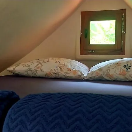 Krka Magic Pumpkin *