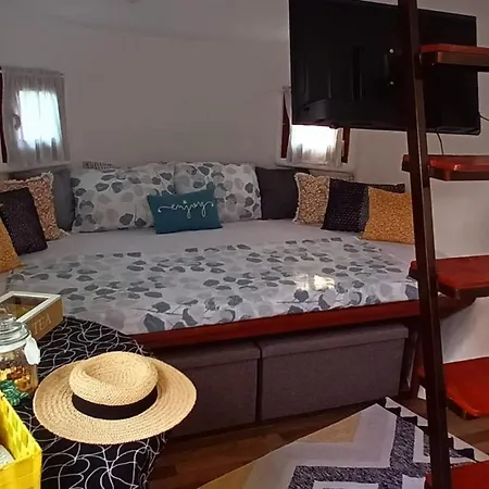 Krka Magic Pumpkin *