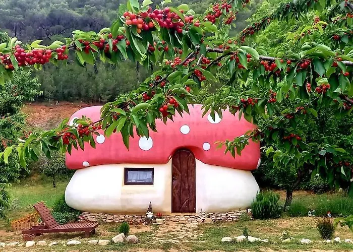 Krka Magic Pumpkin Parco vacanze *