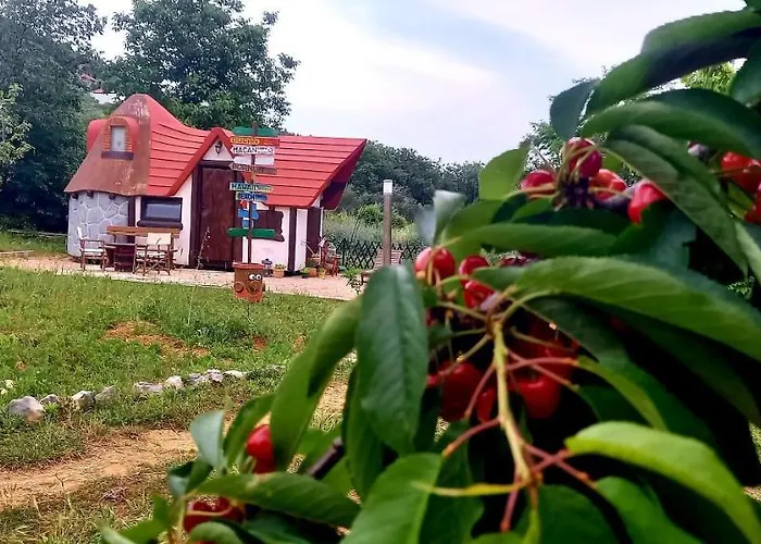 Vakantiepark Krka Magic Pumpkin