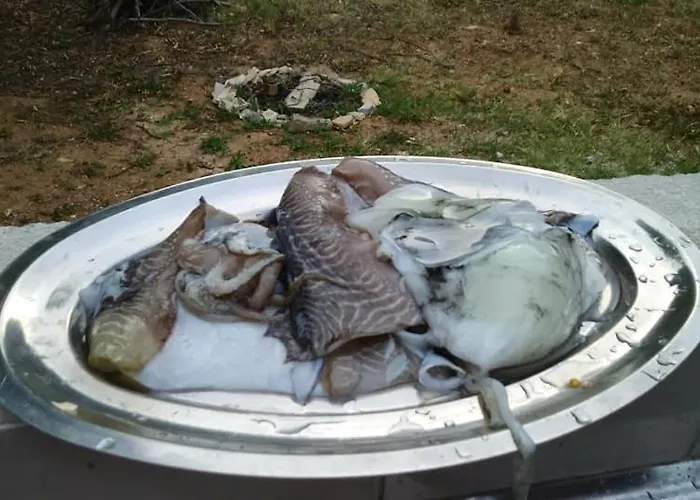 Aldeamento Turístico Krka Magic Pumpkin *