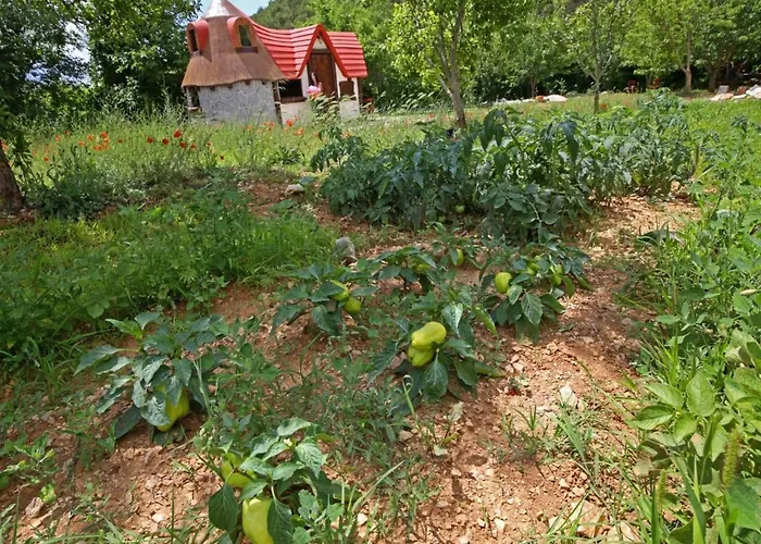 Krka Magic Pumpkin Rupe