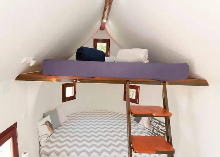 Krka Magic Pumpkin *