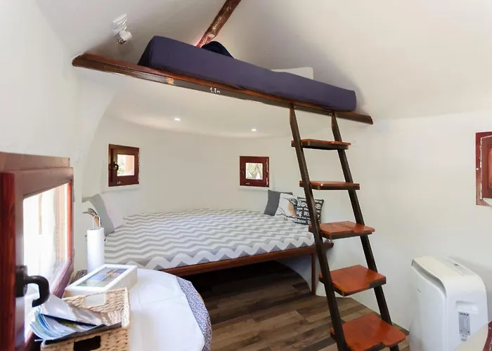 Krka Magic Pumpkin Rupe